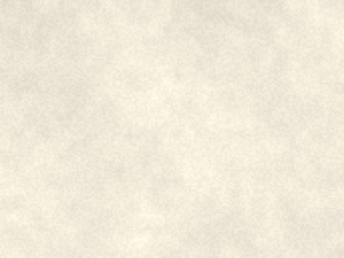 Bleached Softwood Kraft Pulp (C038-01)